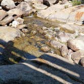 Review photo of Lodgepole Campground — Sequoia National Park by Roger W., September 10, 2022