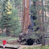 Review photo of Lodgepole Campground — Sequoia National Park by Roger W., September 10, 2022