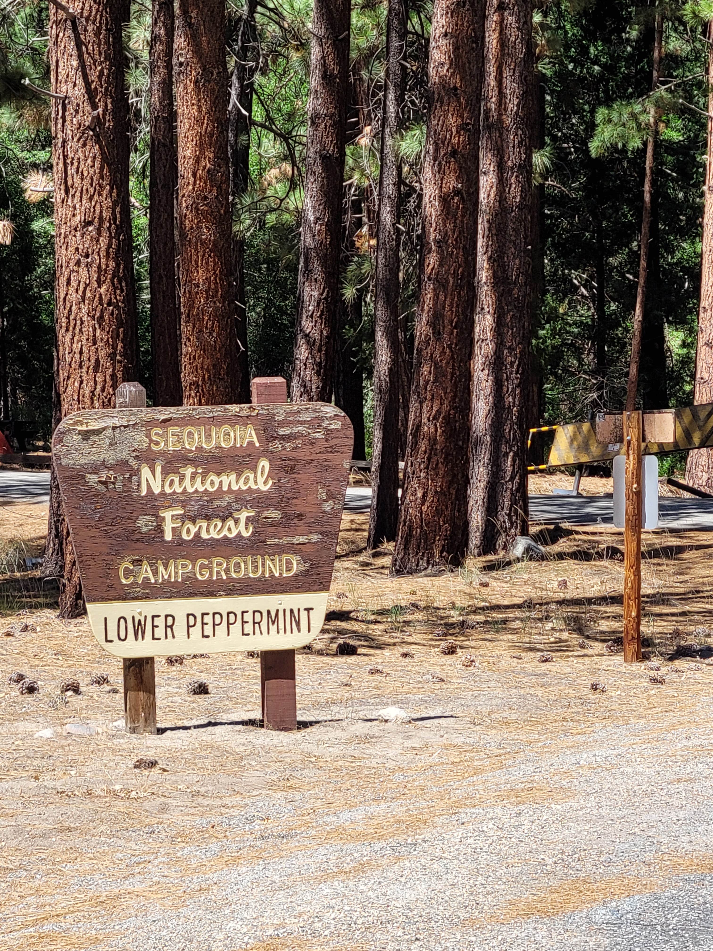 Camper submitted image from Peppermint Campground - 5