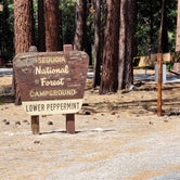 Review photo of Peppermint Campground by Roger W., September 10, 2022