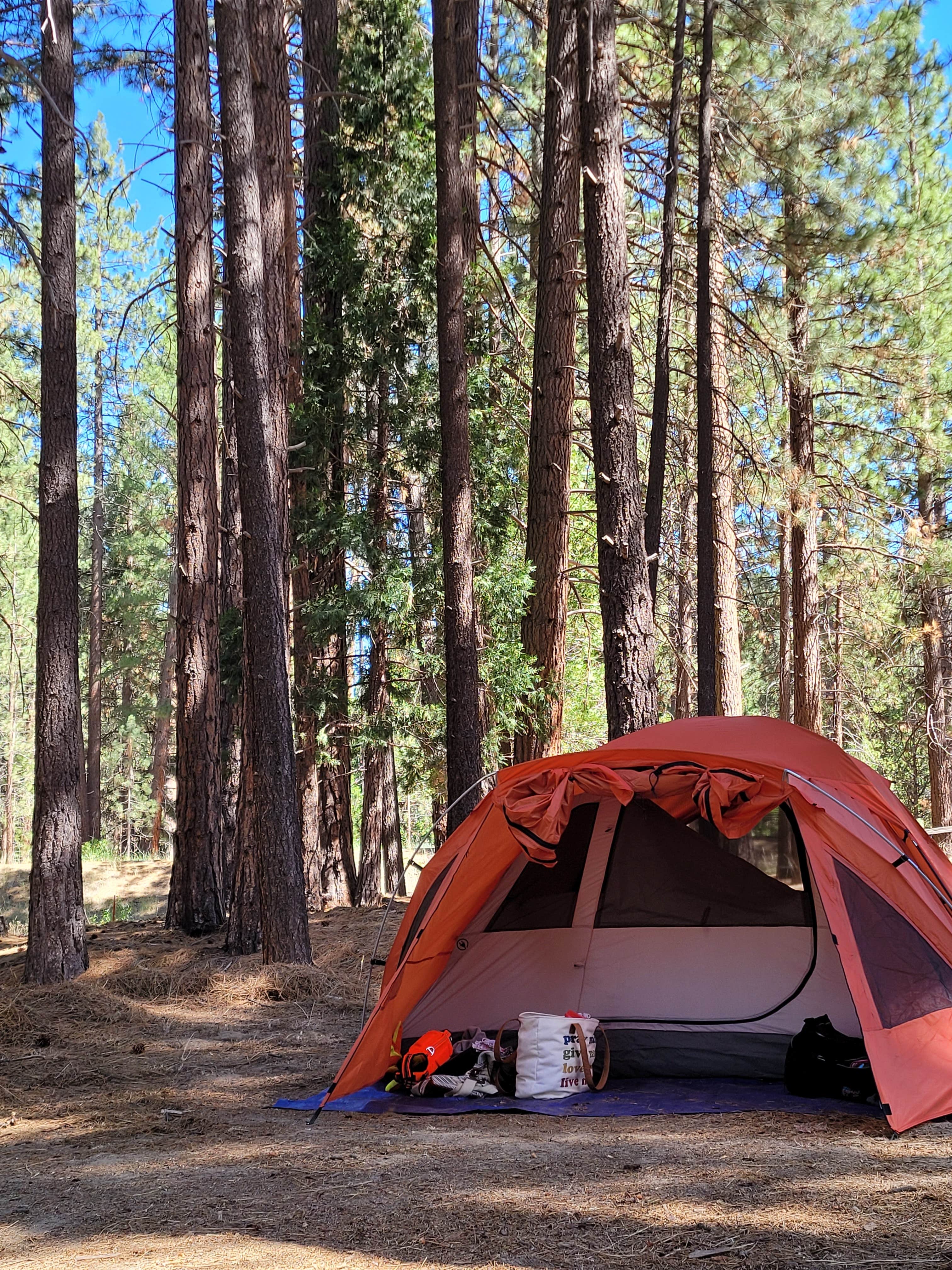 Camper-submitted photo at Peppermint Campground near Sequoia National Forest