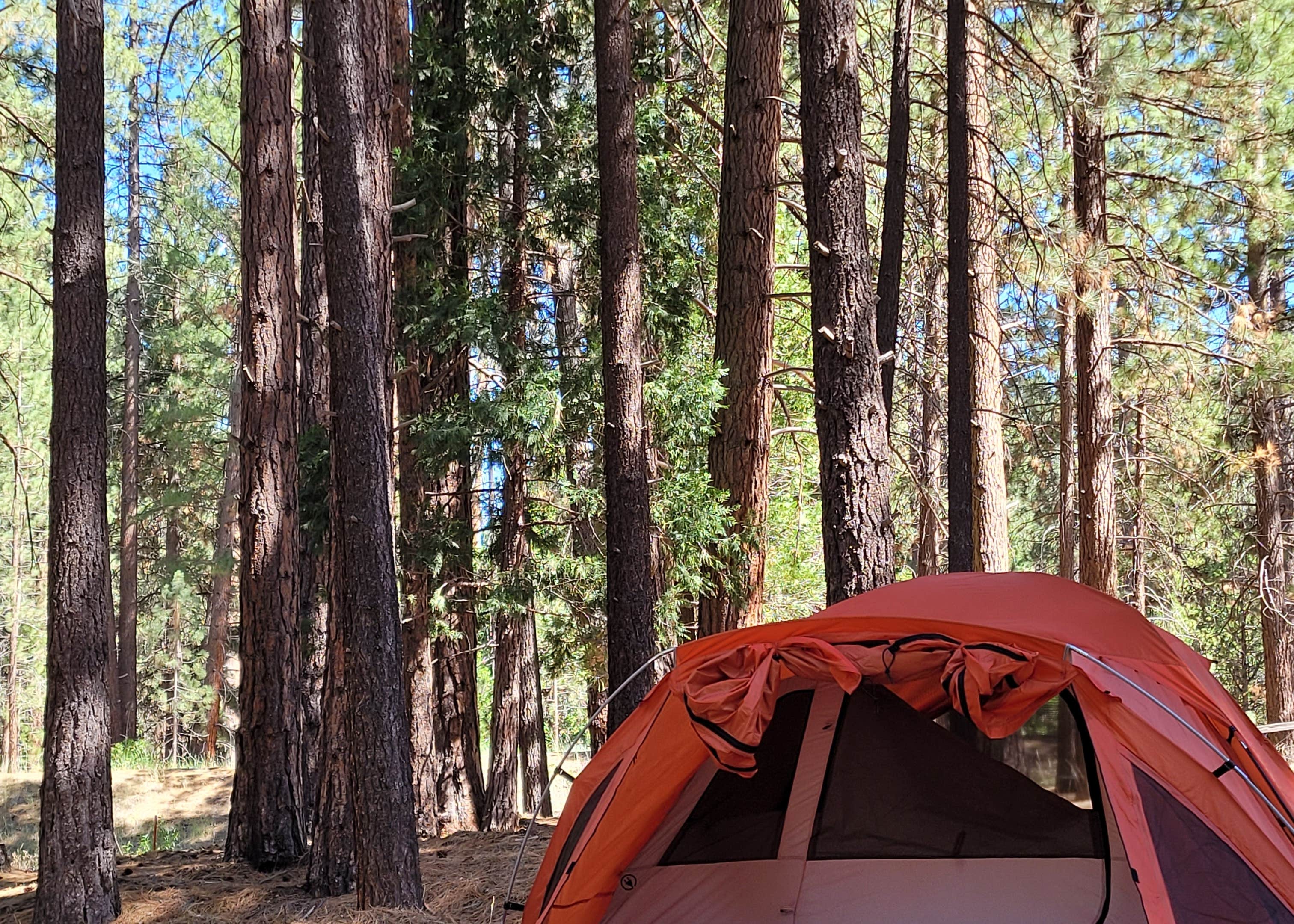 Peppermint Campground Camping Springville, CA The Dyrt