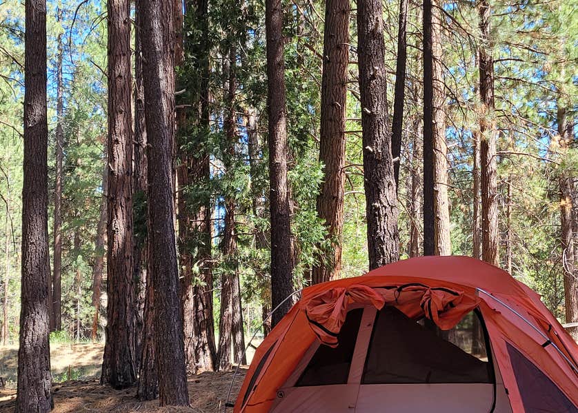 Peppermint Campground Camping The Dyrt