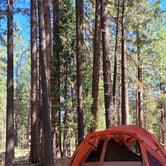 Review photo of Peppermint Campground by Roger W., September 10, 2022