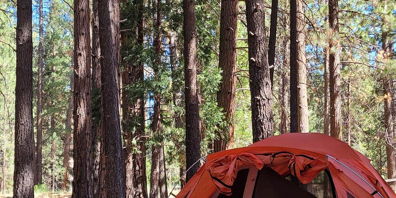 Camper submitted image from Peppermint Campground