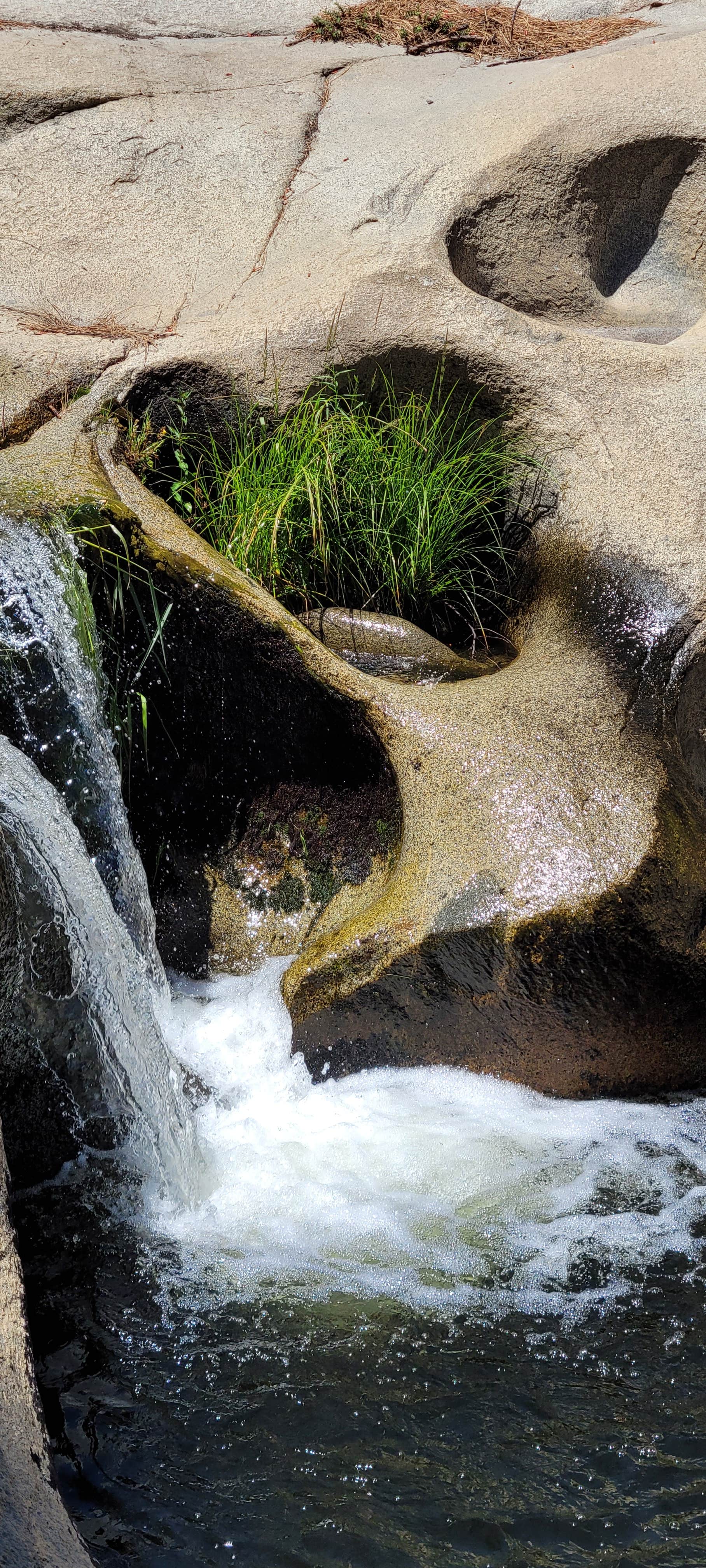 Camper-submitted photo at Peppermint Campground near Sequoia National Forest