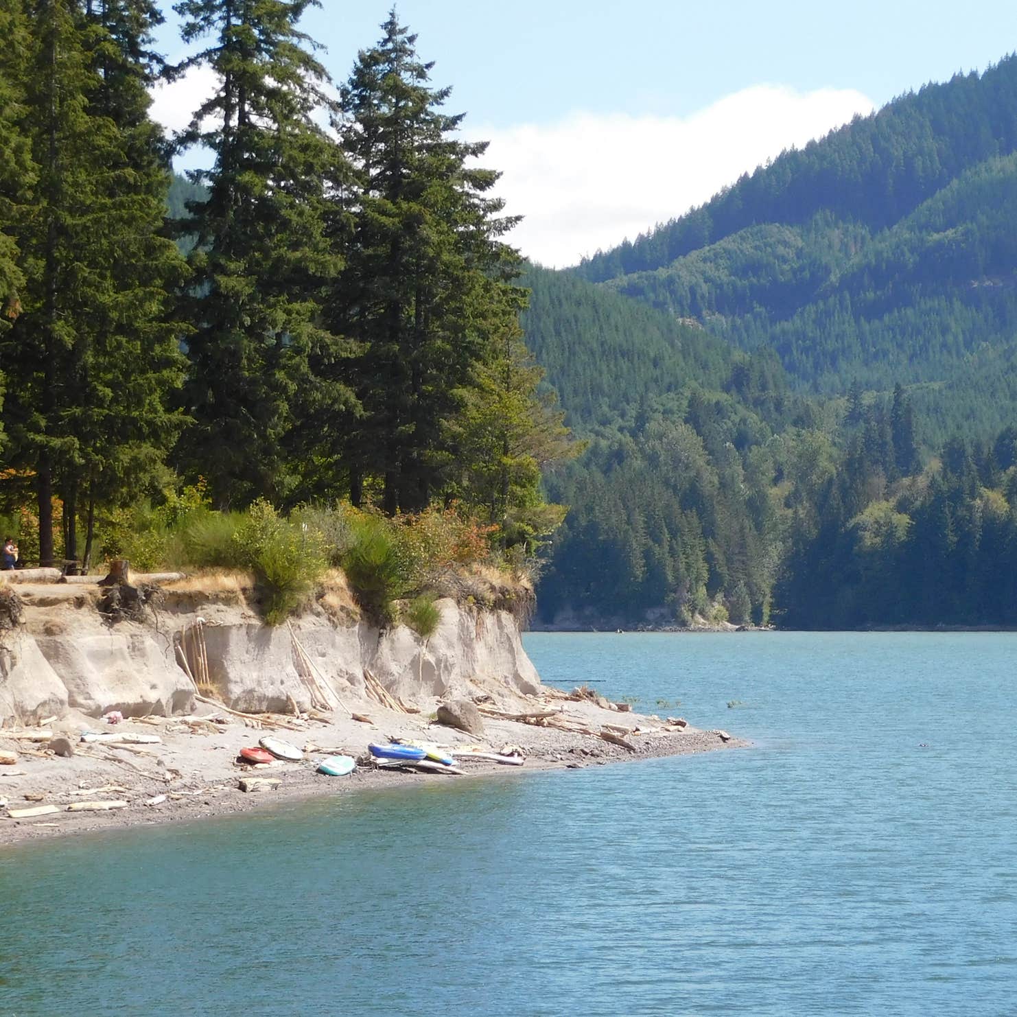 Swift Forest Camp Cougar, Washington