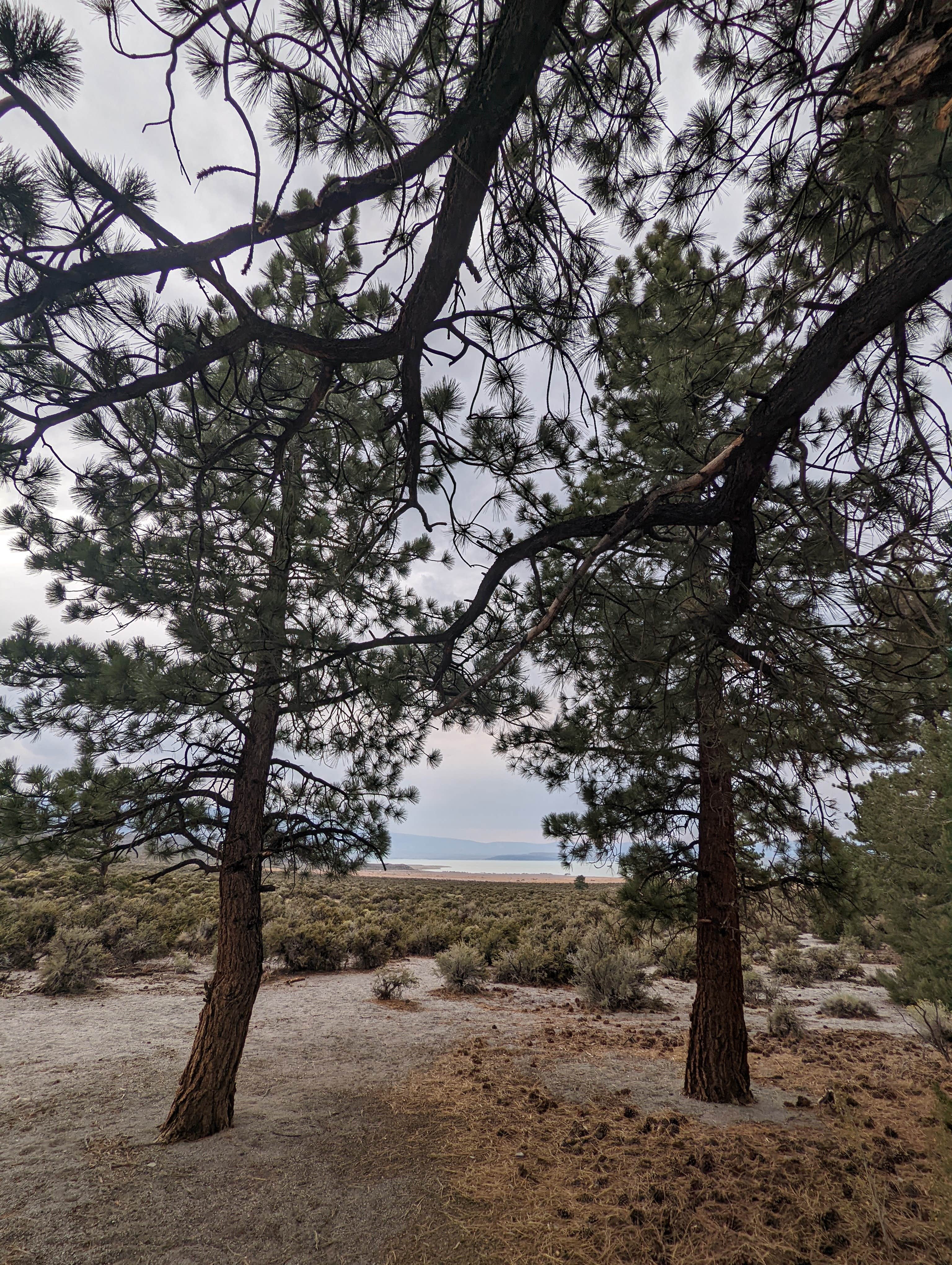 Camper-submitted photo at Mono Lake South Dispersed near Lee Vining, CA