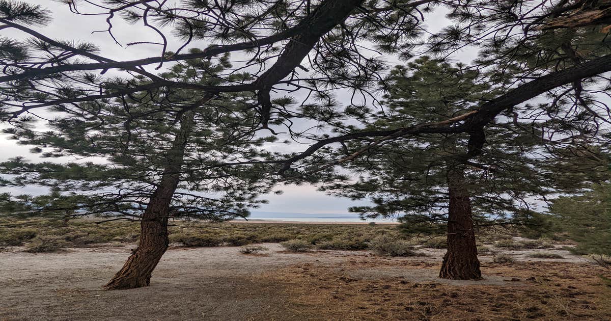 Mono Lake South Dispersed - Main photo