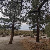 Review photo of Mono Lake South Dispersed by Kevin H., September 11, 2022