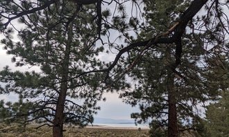 Camping near Warren Fork Trailhead: Mono Lake South Dispersed, Lee Vining, California
