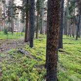 Review photo of Price Creek Campground (Mt) — Beaverhead Deerlodge National Forest by Elizabeth W., September 11, 2022