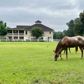 Review photo of Red Gate Farms - RV Resort by Clare P., September 11, 2022