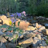 Review photo of Varney Bridge by Elizabeth W., September 11, 2022