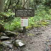 Review photo of Smokemont Campground — Great Smoky Mountains National Park by Lori H., September 11, 2022