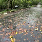 Review photo of Smokemont Campground — Great Smoky Mountains National Park by Lori H., September 11, 2022