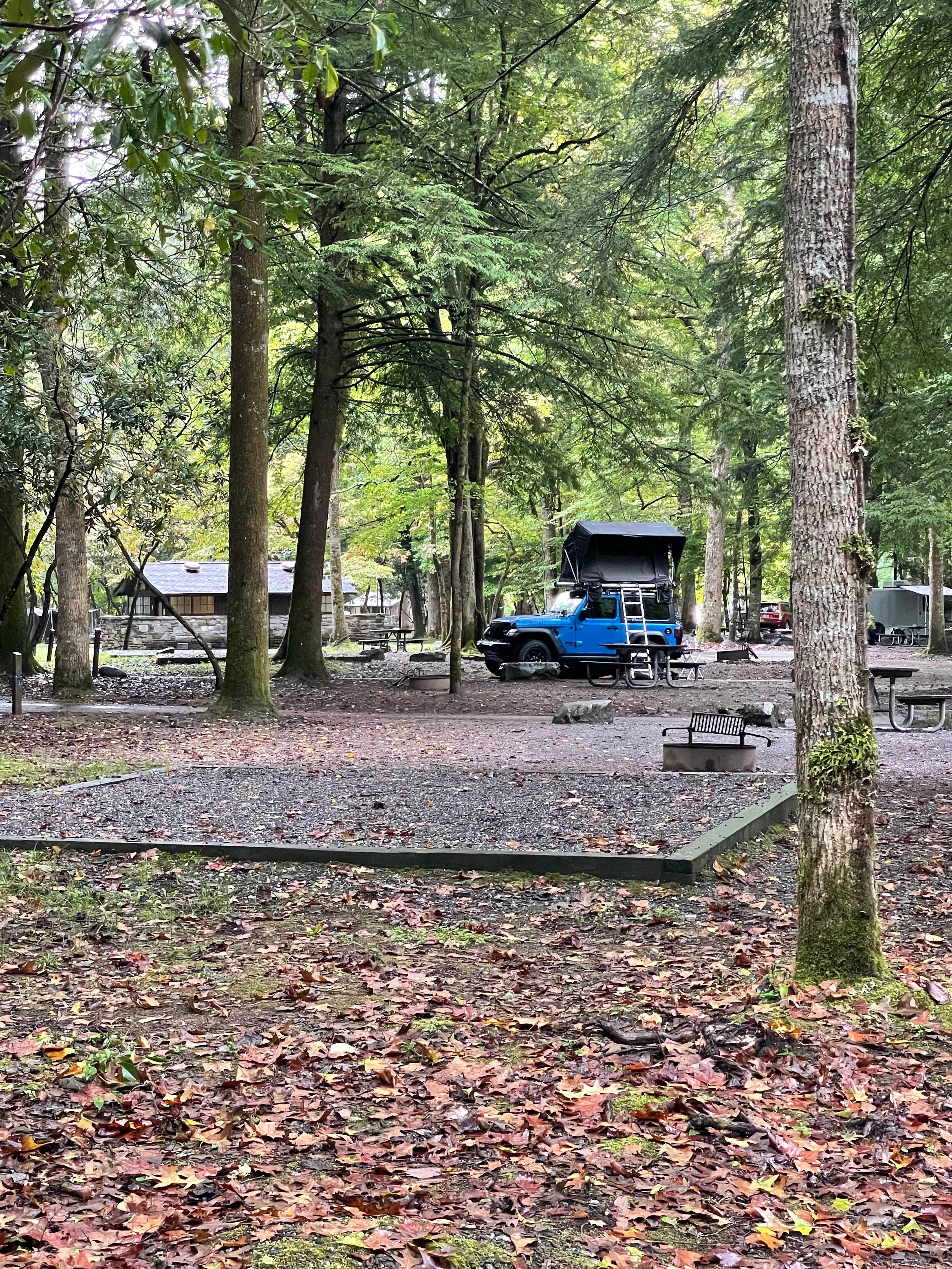 Lori H.'s photo at Smokemont Campground — Great Smoky Mountains National Park near Cherokee, NC