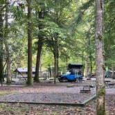 Review photo of Smokemont Campground — Great Smoky Mountains National Park by Lori H., September 11, 2022