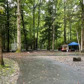 Review photo of Smokemont Campground — Great Smoky Mountains National Park by Lori H., September 11, 2022