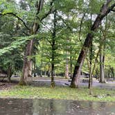 Review photo of Smokemont Campground — Great Smoky Mountains National Park by Lori H., September 11, 2022