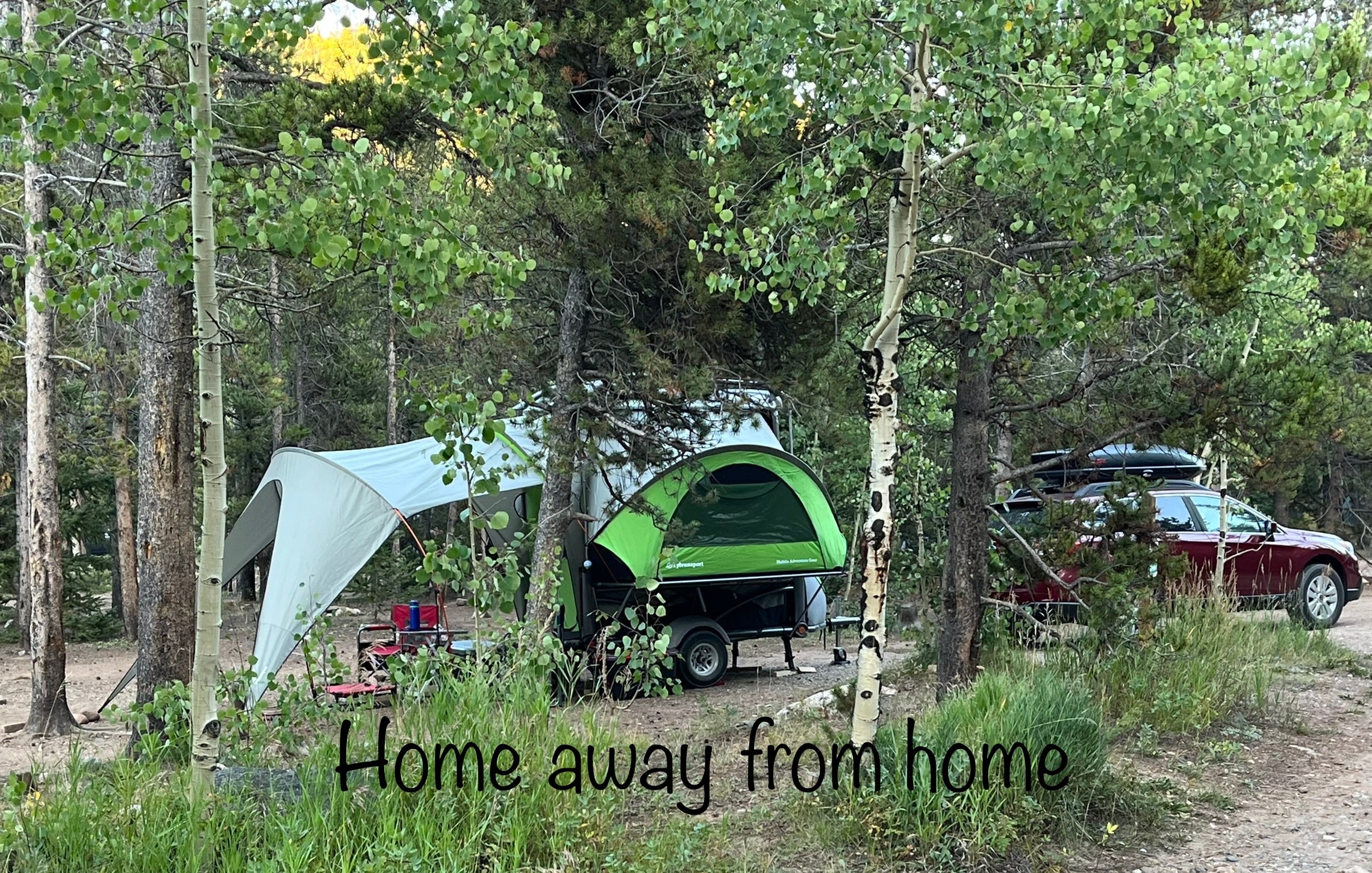 Camper submitted image from Lodgepole Campground - 1