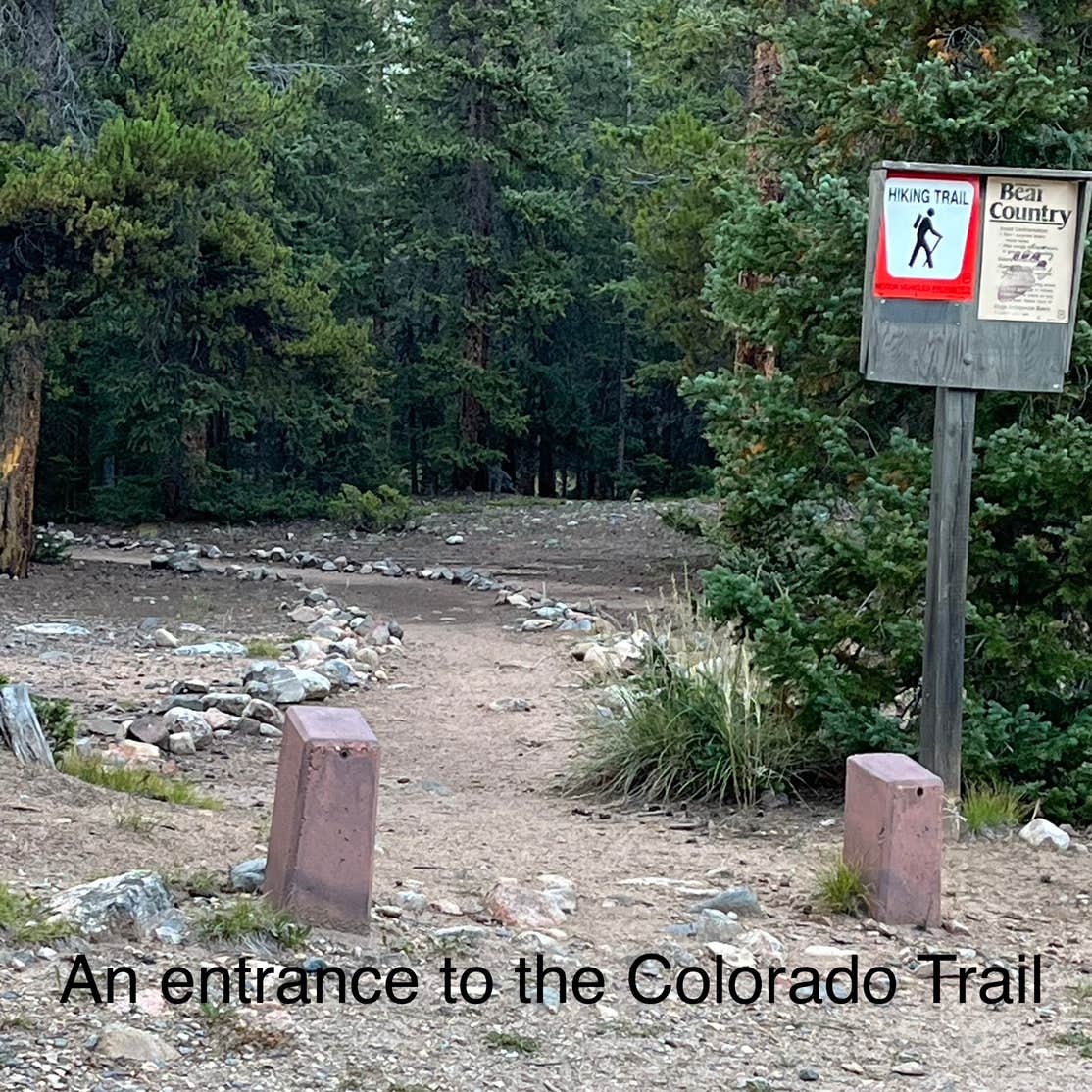 Lodgepole Campground Fairplay, CO