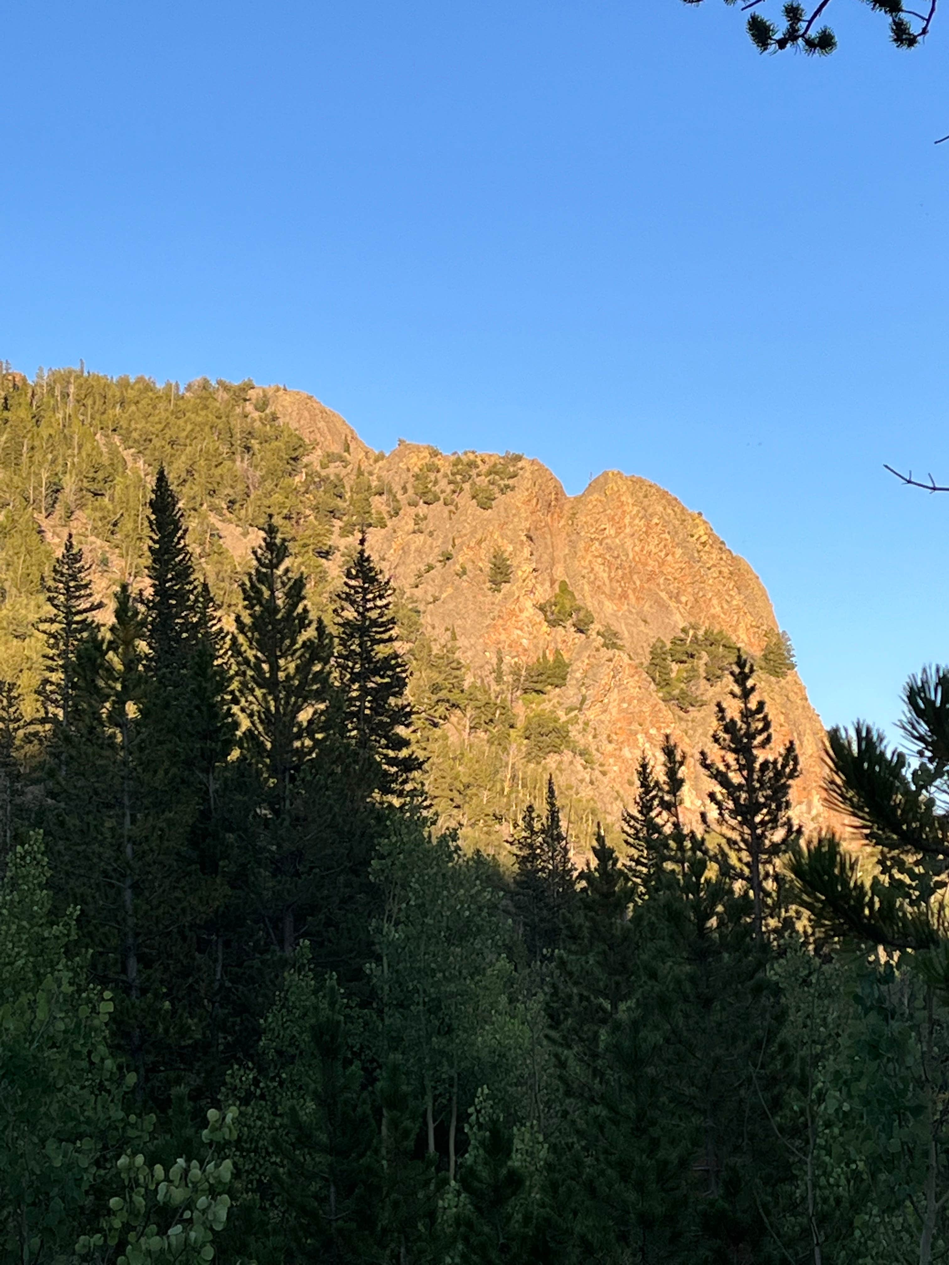 Camper-submitted photo at Lodgepole Campground near Montezuma, CO