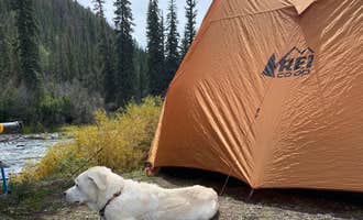 Camping near North Clear Creek: Marshall Park Campground, City of Creede, Colorado