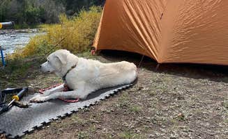 Jessica D.'s photo at Marshall Park Campground near City of Creede, CO