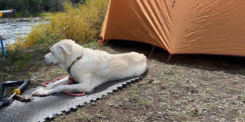 Camper submitted image from Marshall Park Campground
