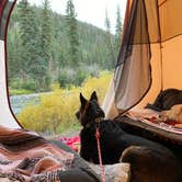 Review photo of Marshall Park Campground by Jessica D., September 11, 2022