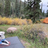 Review photo of Marshall Park Campground by Jessica D., September 11, 2022