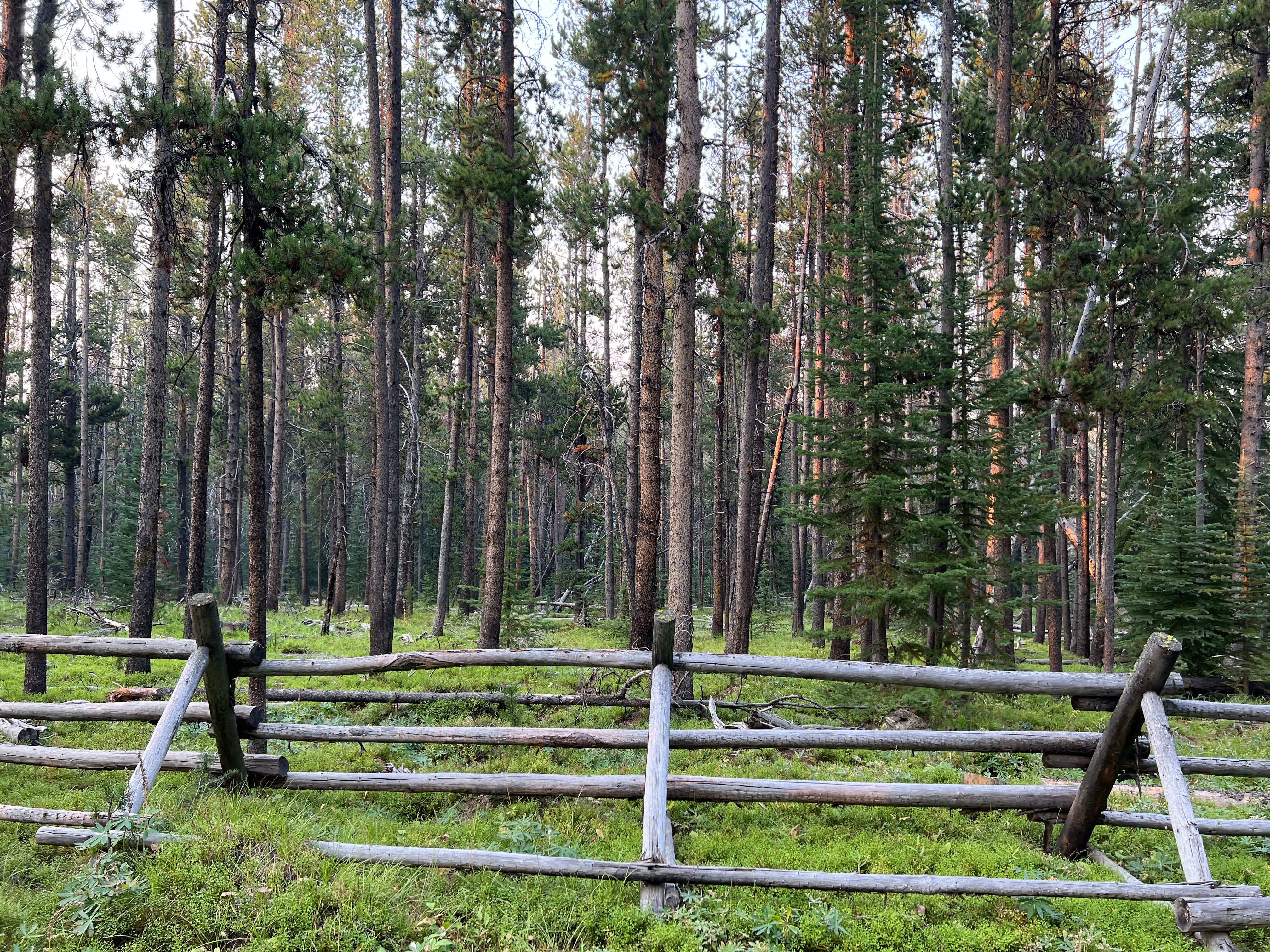 Camper-submitted photo at Price Creek Campground (Mt) — Beaverhead Deerlodge National Forest near Jackson, MT