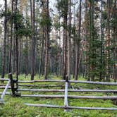 Review photo of Price Creek Campground (Mt) — Beaverhead Deerlodge National Forest by Elizabeth W., September 11, 2022