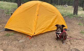 Alyssa's photo of tent camping at Freidlein Prairie Dispersed Camping near Gray Mountain, AZ