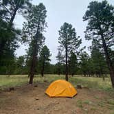 Review photo of Freidlein Prairie Dispersed Camping by Alyssa , September 11, 2022