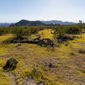 Review photo of Jumbo Rocks Campground — Joshua Tree National Park by Corey B., September 11, 2022