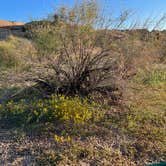 Review photo of Jumbo Rocks Campground — Joshua Tree National Park by Corey B., September 11, 2022