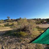 Review photo of Jumbo Rocks Campground — Joshua Tree National Park by Corey B., September 11, 2022