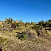 Review photo of Jumbo Rocks Campground — Joshua Tree National Park by Corey B., September 11, 2022