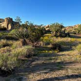 Review photo of Jumbo Rocks Campground — Joshua Tree National Park by Corey B., September 11, 2022