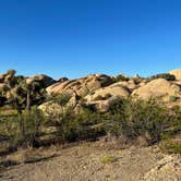 Review photo of Jumbo Rocks Campground — Joshua Tree National Park by Corey B., September 11, 2022