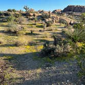 Review photo of Jumbo Rocks Campground — Joshua Tree National Park by Corey B., September 11, 2022