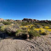 Review photo of Jumbo Rocks Campground — Joshua Tree National Park by Corey B., September 11, 2022