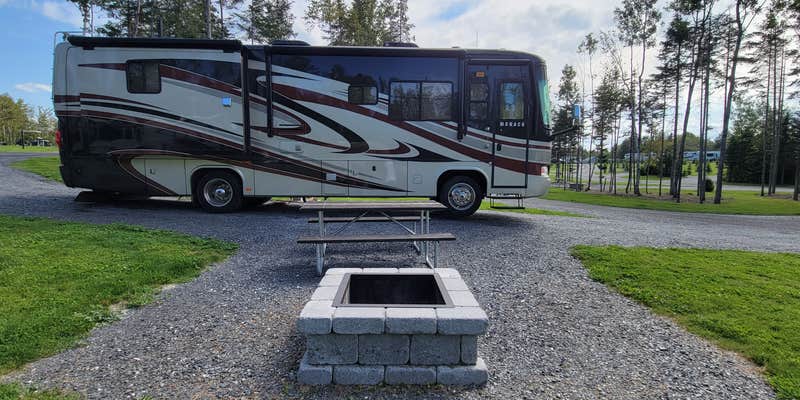 Camper submitted image from Moose Creek RV Resort
