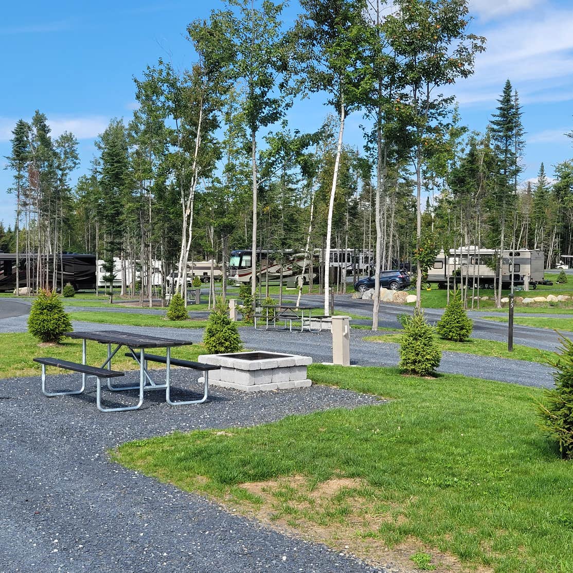 Moose Creek RV Resort Camping The Dyrt