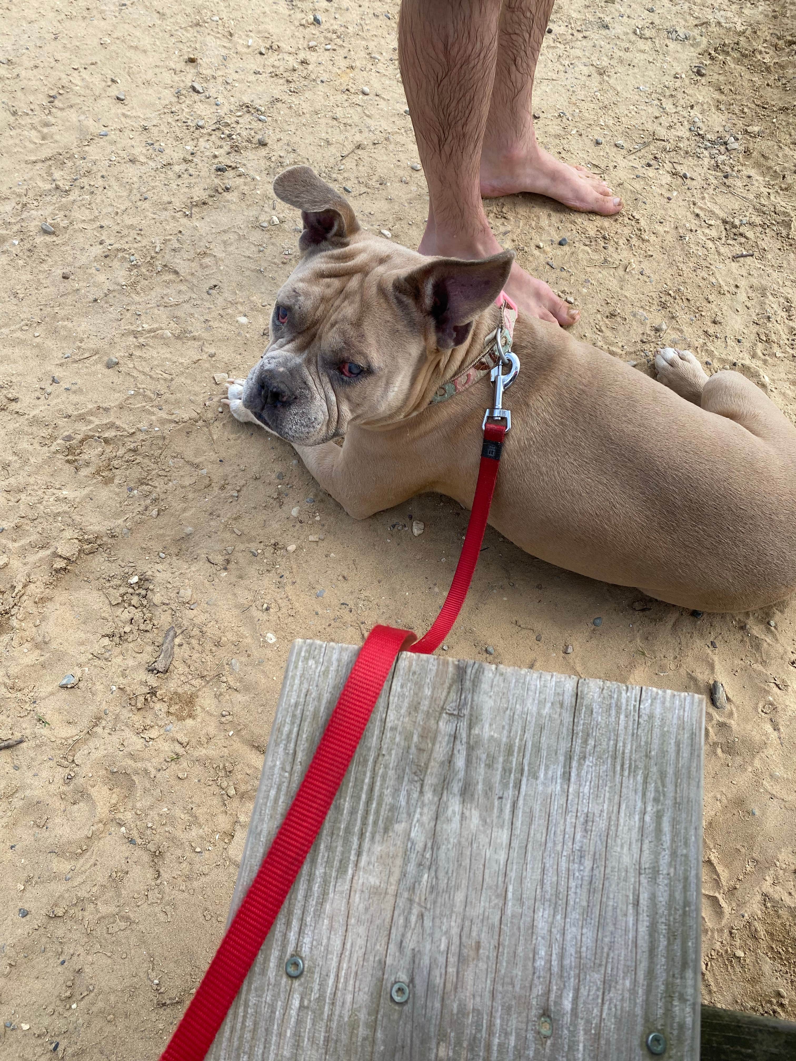 Camper-submitted photo at Dumont Lake Campground near Allegan, MI
