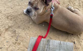 Angela C.'s photo of camping with pets at Dumont Lake Campground near Portage, MI