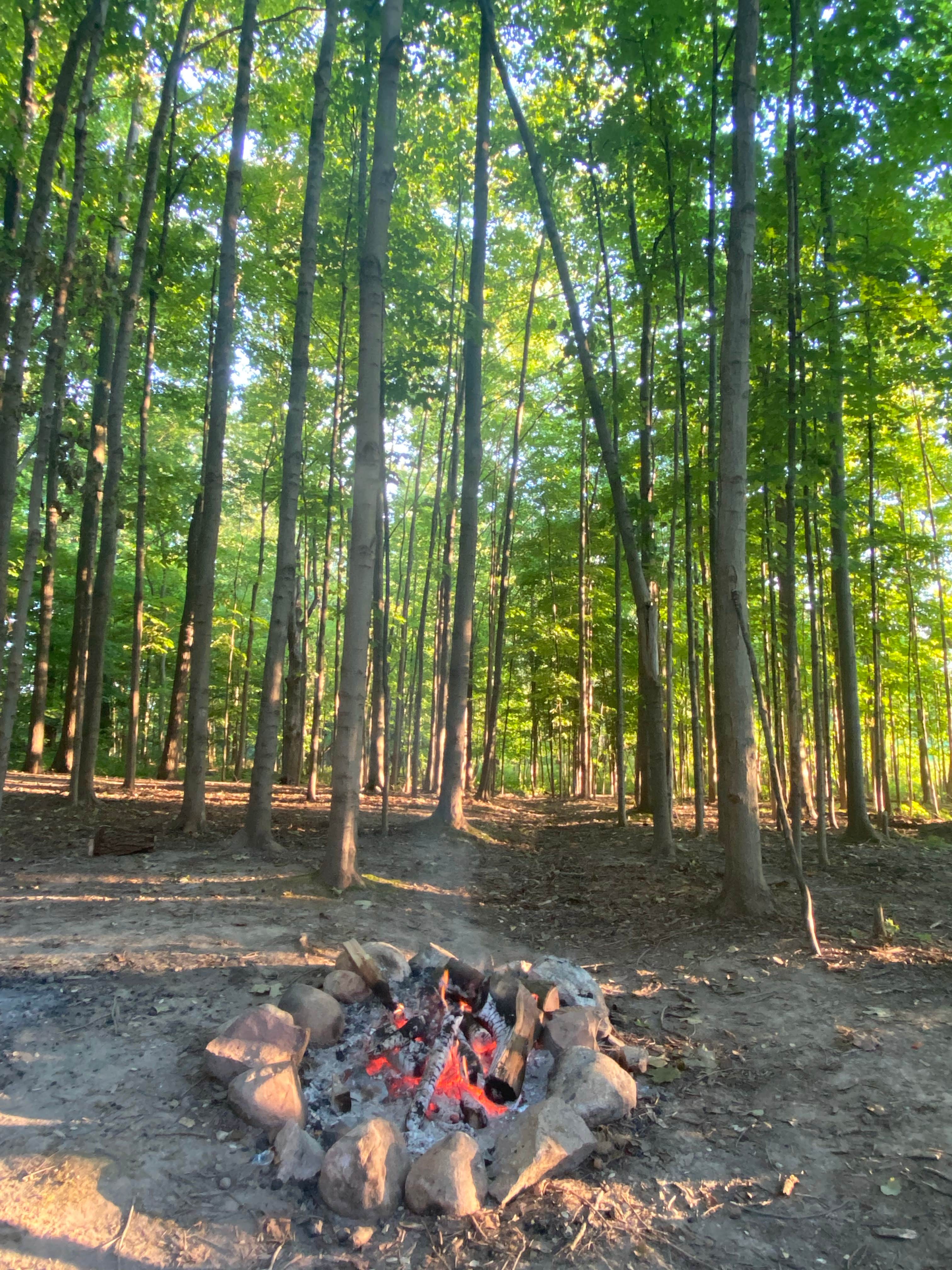 Camper-submitted photo at Dumont Lake Campground near Allegan, MI
