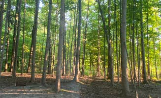 Angela C.'s photo at Dumont Lake Campground near Nazareth, MI
